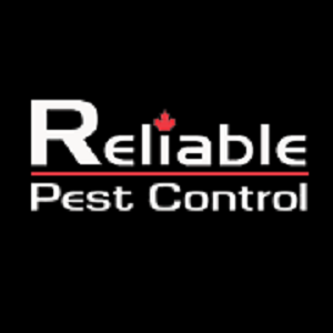 Reliable Pest Control