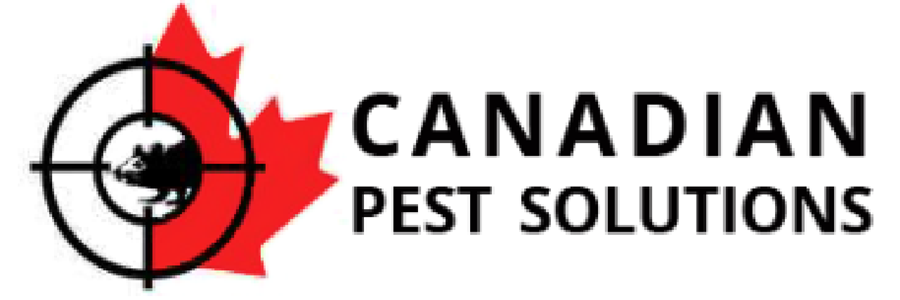 Canadian Pest Solutions